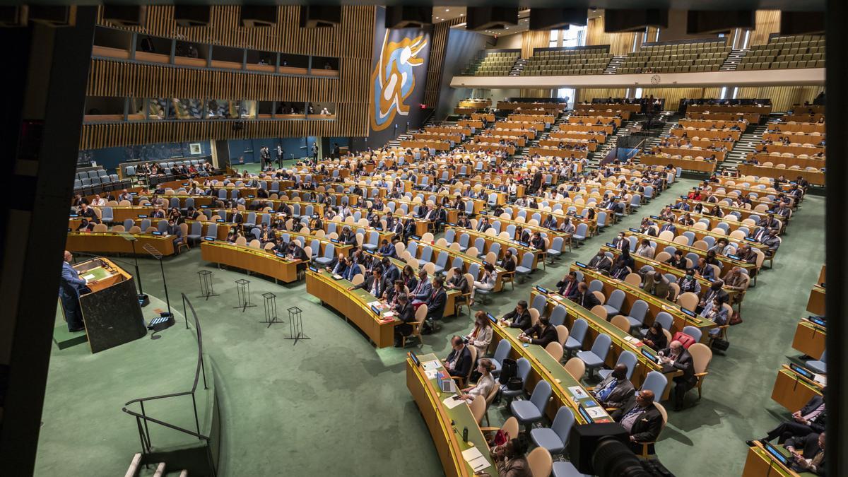 Consejo de Seguridad de la ONU.