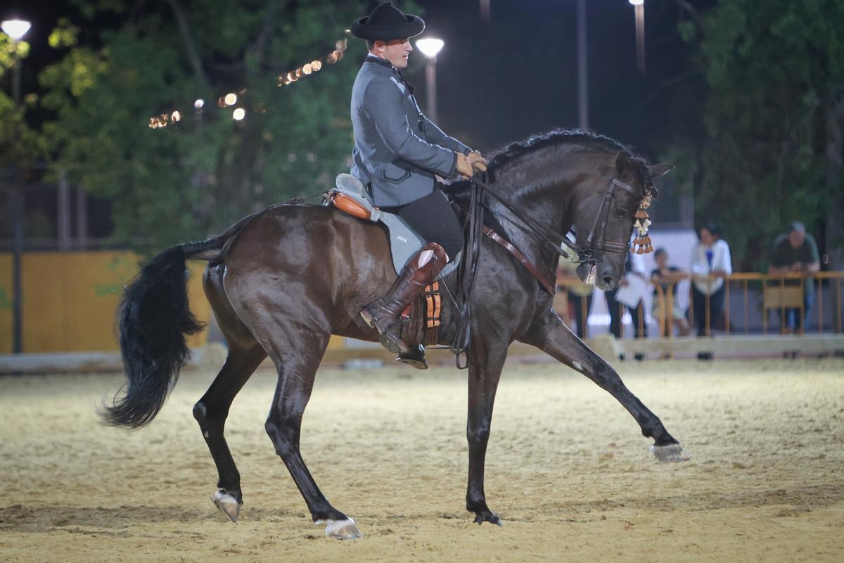 Así ha sido la Feria de Ganado de Dolores