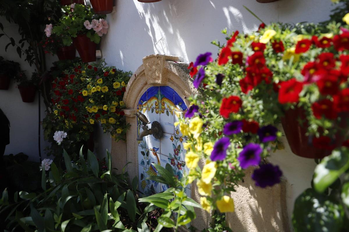 La ruta de los patios de San Lorenzo, en imágenes