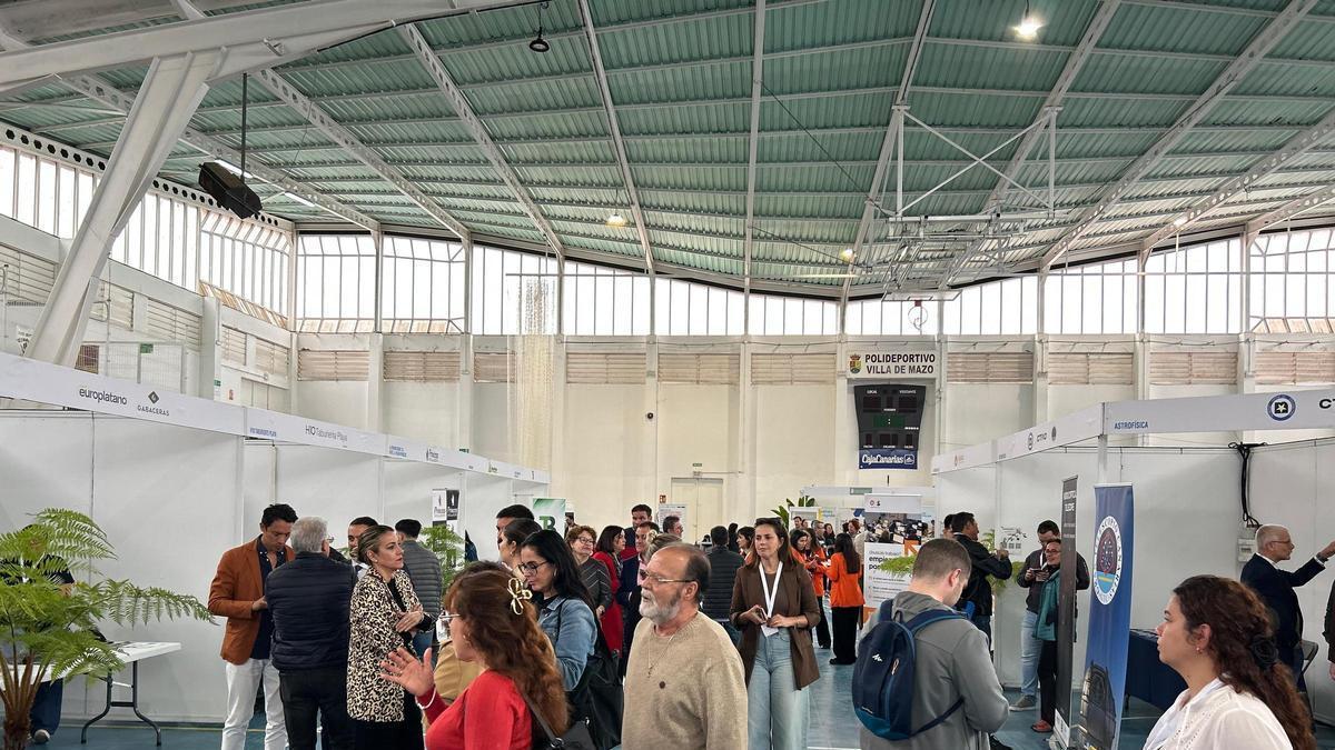 Feria Empleo de Mazo, en La Palma