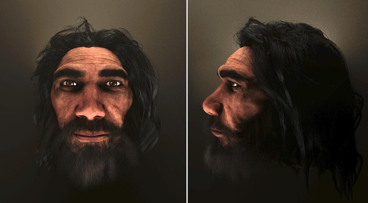 Apariencia reconstruida del Homo Heidelbergensis.