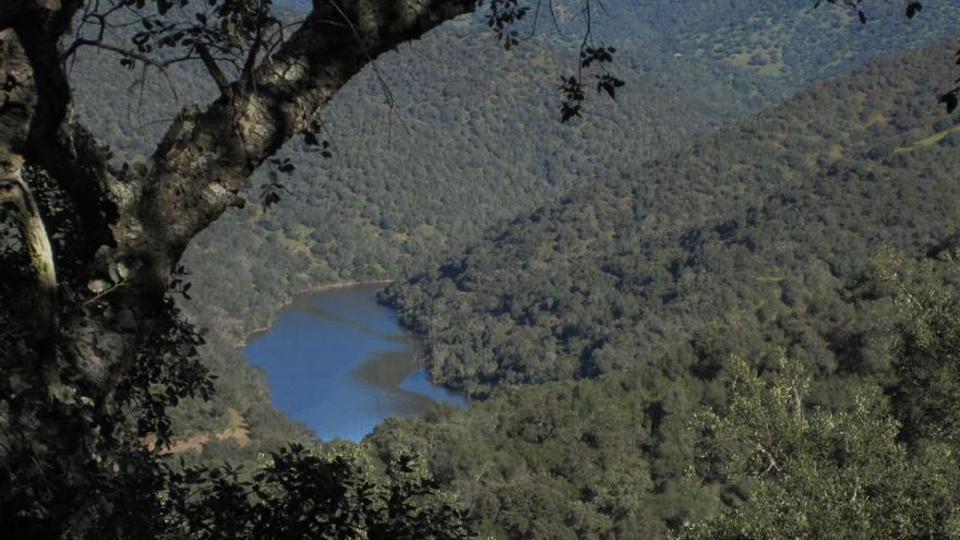 Los espacios naturales protegidos juegan un importante papel en la conservación de la biodiversidad. | R. ARENAS