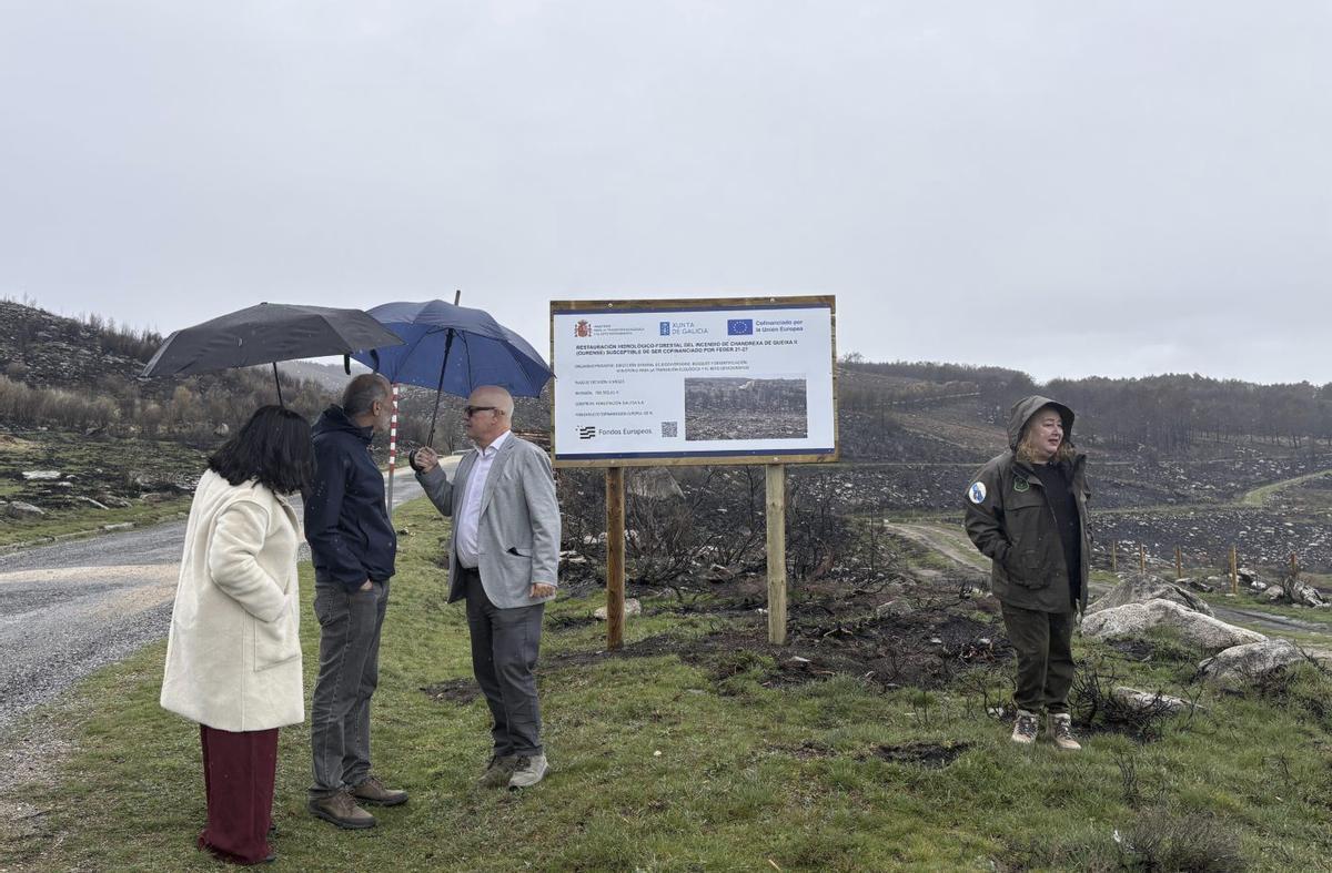 Una visita de autoridades a los trabajos forestales en A Pobra de Trives. | FDV