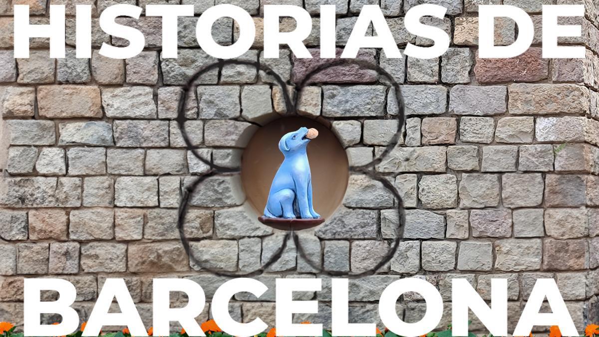 El gos blau que viu al costat de la Catedral de Barcelona