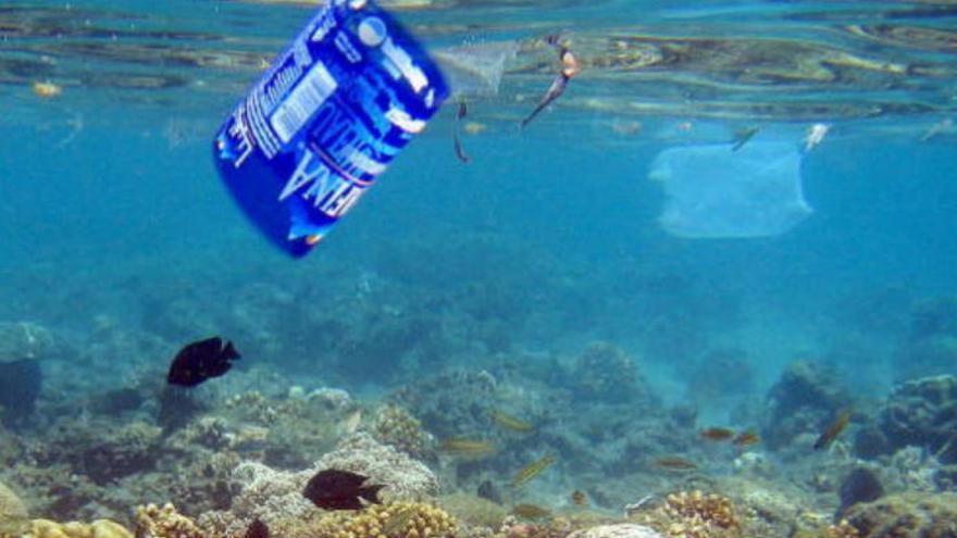 Retiran más de 4.000 kilos de basura de los fondos marinos de Canarias