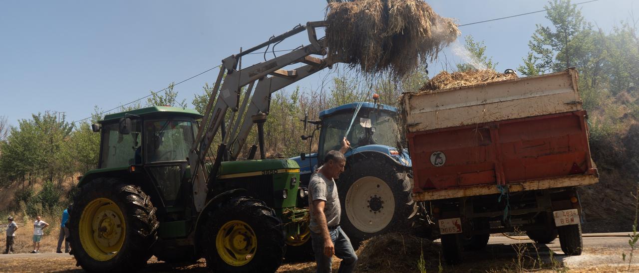 Agricultores en Losacio.