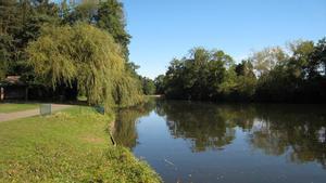 Moren tres dels quatre nens que van caure a un llac gelat al Regne Unit