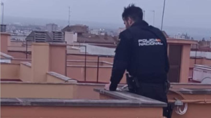 Policías salvan a una mujer que quería tirarse desde una azotea en Palma