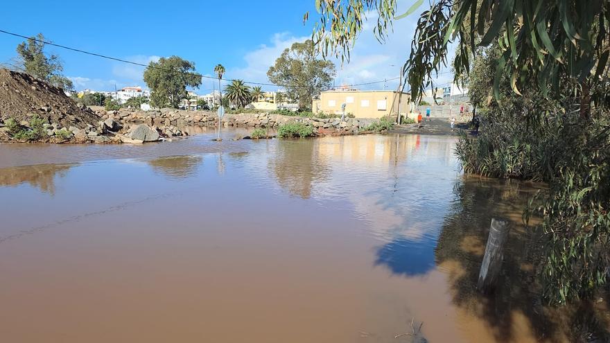 Las palmeras se tambalean por el fuerte viento en Las Palmas de Gran Canaria
