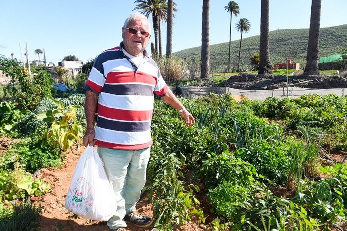 Huertos que dan la vida en Agüimes