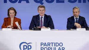 MADRID, 07/04/2025.- El líder del PP, Alberto Núñez Feijóo (c), acompañado de la secretaria general, Cuca Gamarra y el vicesecretario de Economía del partido, Juan Bravo, se reúnen este lunes en la sede de Génova con representantes de organizaciones afectadas por los aranceles anunciados por el presidente estadounidense, Donald Trump, y con consejeros de los gobiernos autonómicos del Partido Popular de áreas relacionadas con las tarifas. EFE/ Daniel Gonzalez