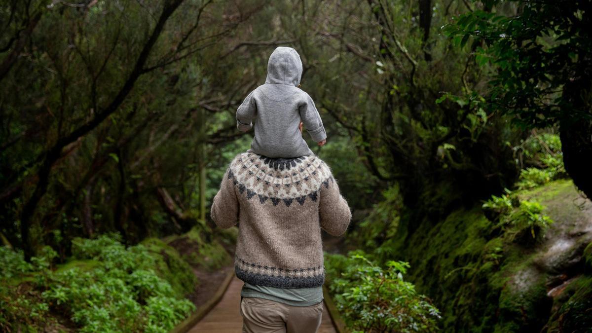 Un padre y un hijo caminan juntos por un bosque