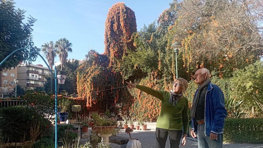 Alerta por falta de agua en el Jardín de Gamarra