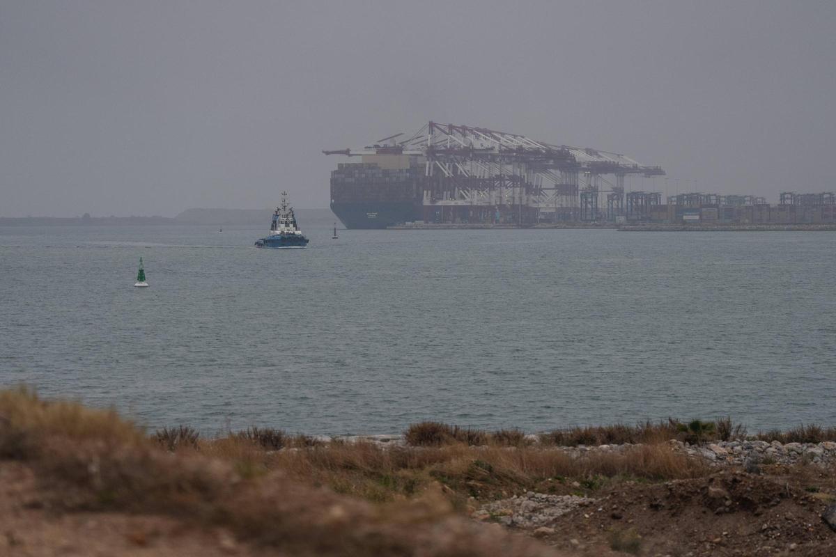 Un portacontenedores de grandes dimensiones descarga en la terminal semiautomática de Hutchison Ports Best del Port de Barcelona.