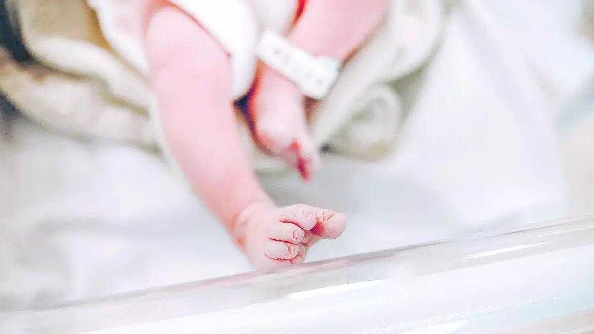 El objetivo es regular ayudas económicas para fomentar la natalidad en el municipio.