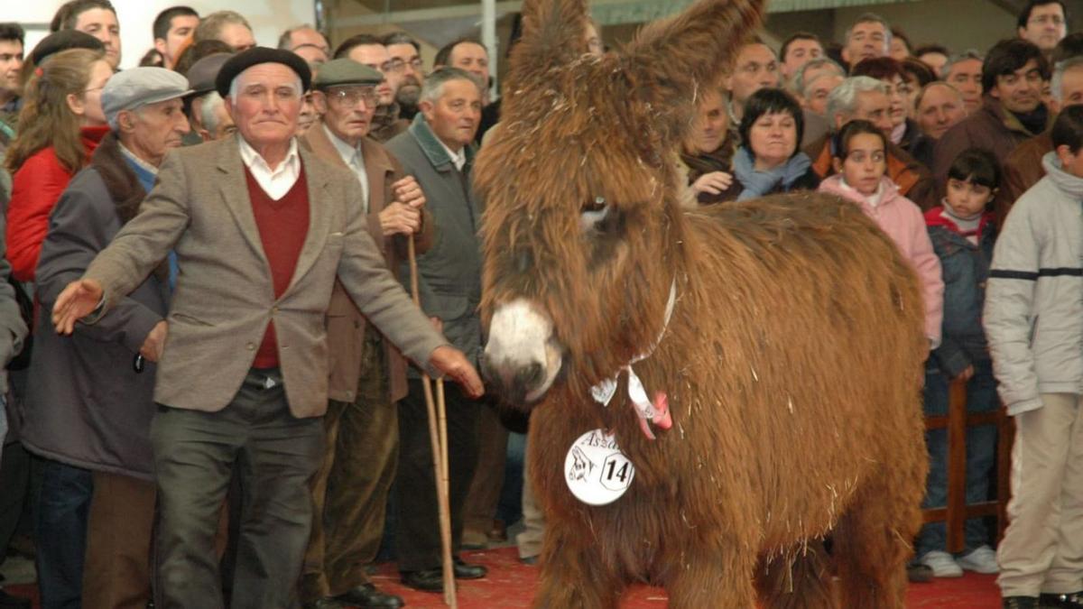 Imagen de una feria de años anteriores. | Ch. S.