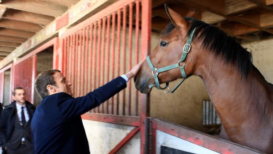 «30 minuts» analitza la figura del candidat Emmanuel Macron