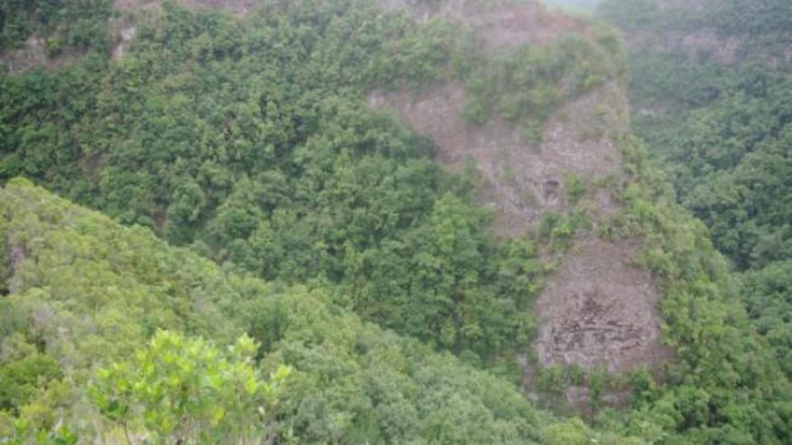 Las actuaciones han afectado a elementos que han servido para calificar el Parque Natural de las Nieves.