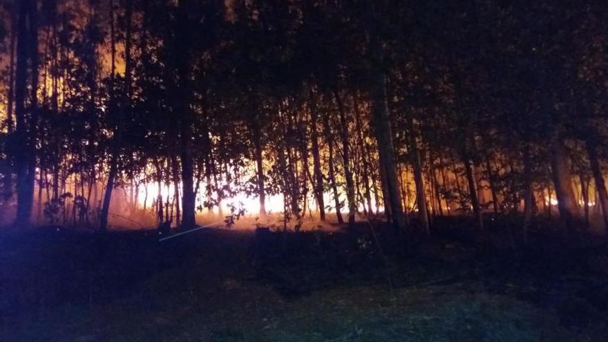 Un incendio forestal arrasa 3,5 hectáreas en Cuntis de madrugada