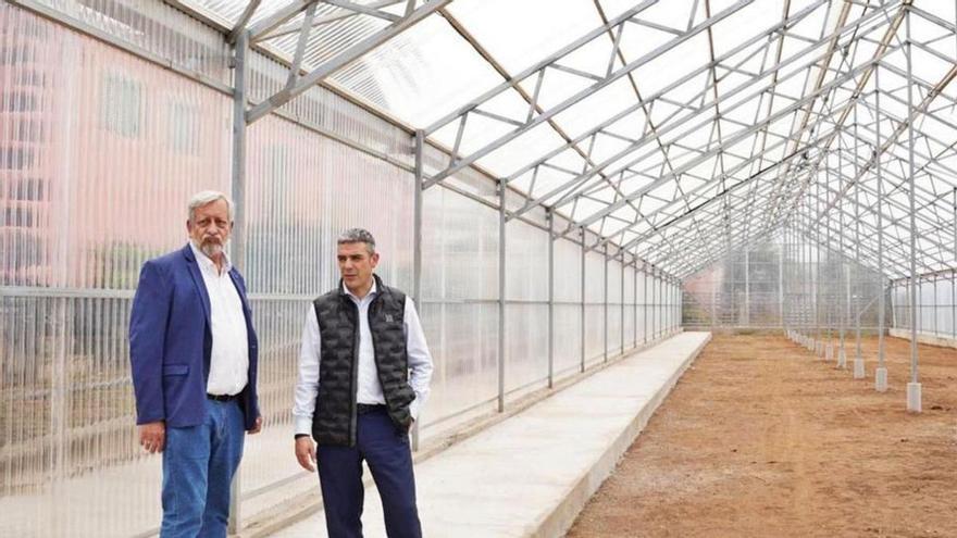 Agricultura invierte 300.000 euros en la Escuela de Capacitación Agraria de Tacoronte