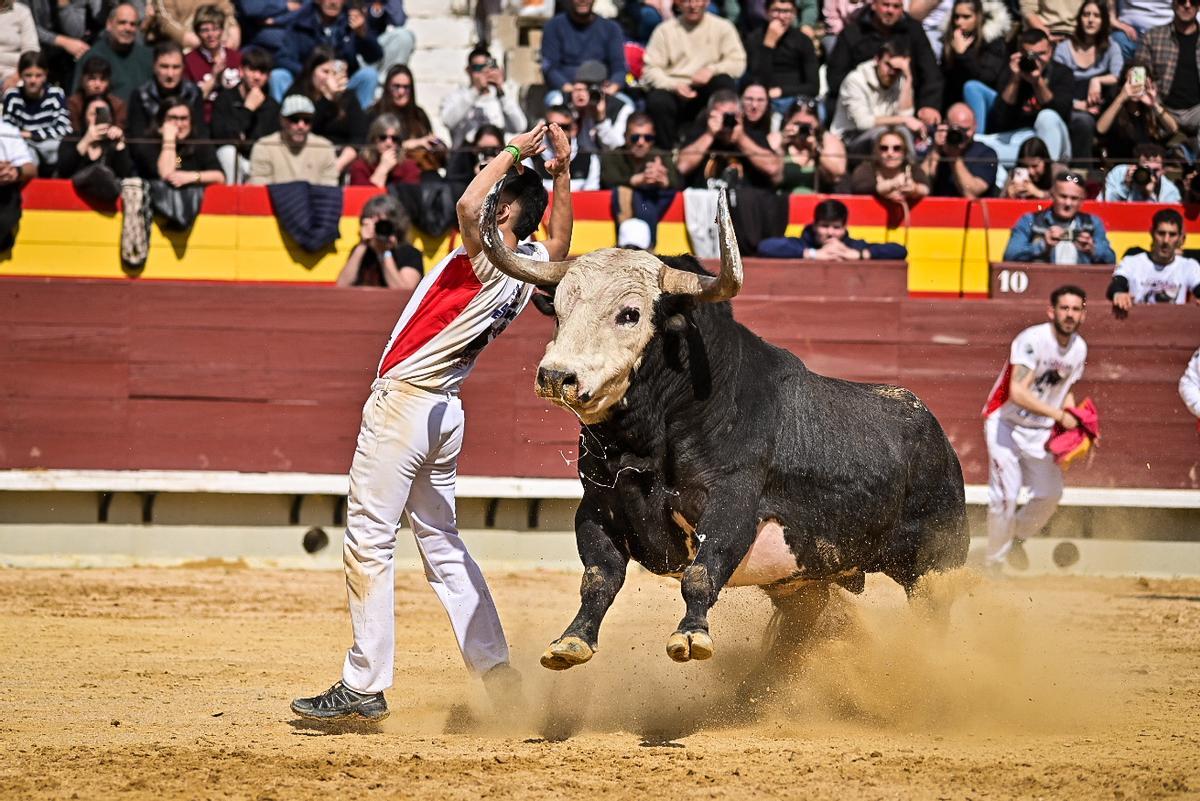 Galería de imágenes: Los maestros de la calle toman la plaza de Castelló