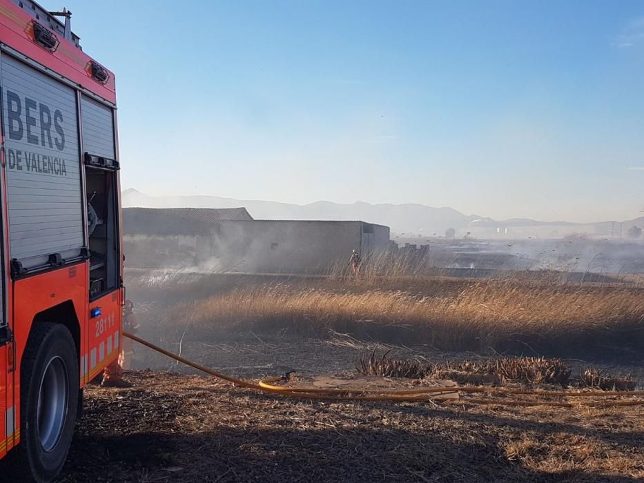 Incendio forestal en el Marjal dels Moros en Sagunt