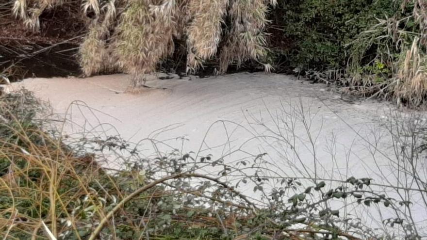 Fotografía con la contaminación del río Guardia que adjunta la denuncia de los ecologistas