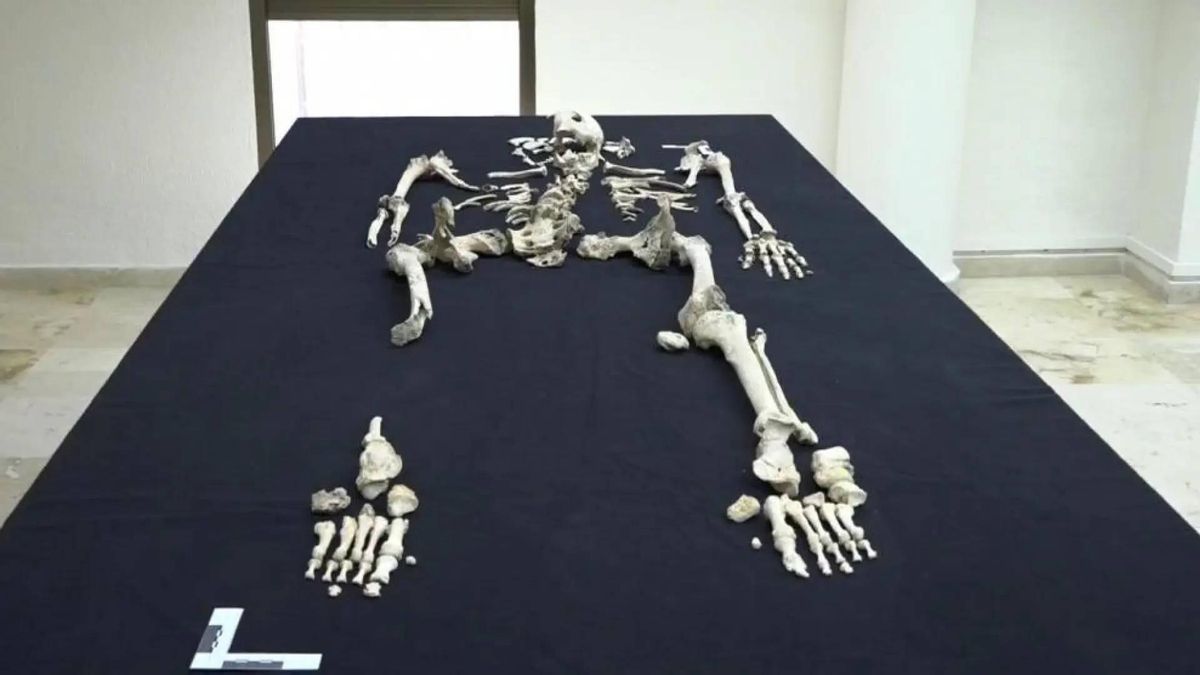 Los investigadores utilizaron arqueología funeraria para estudiar la pubertad en adolescentes medievales del norte de España.