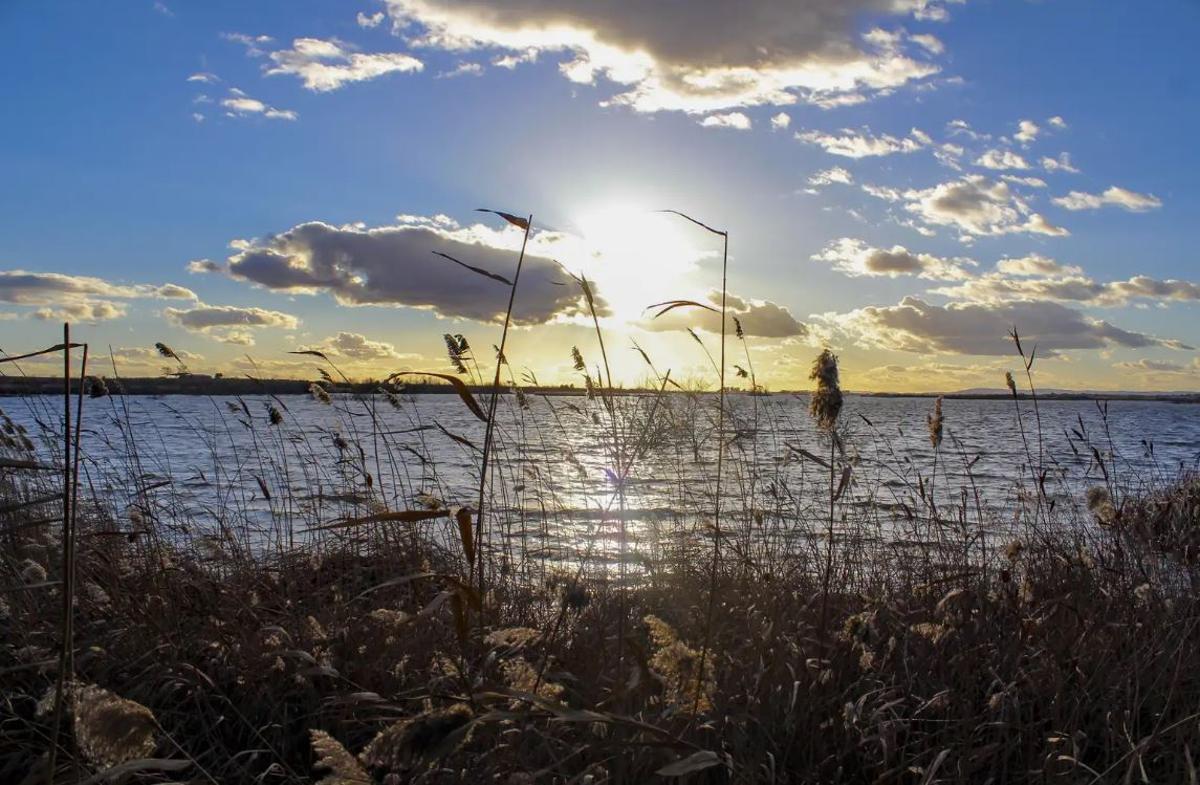 Reserva Natural Laguna de la Ratosa, en Málaga