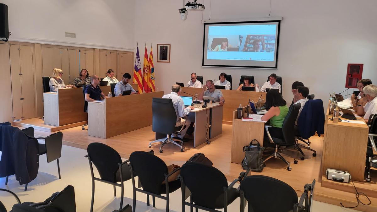 Un momento del pleno del Consell de Formentera del mes de septiembre