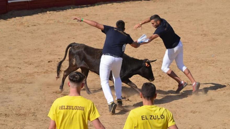 Fiestas del Toro en Benavente: Risas, revolcones y algún que otro susto en el &quot;Juego de la NTE&quot;