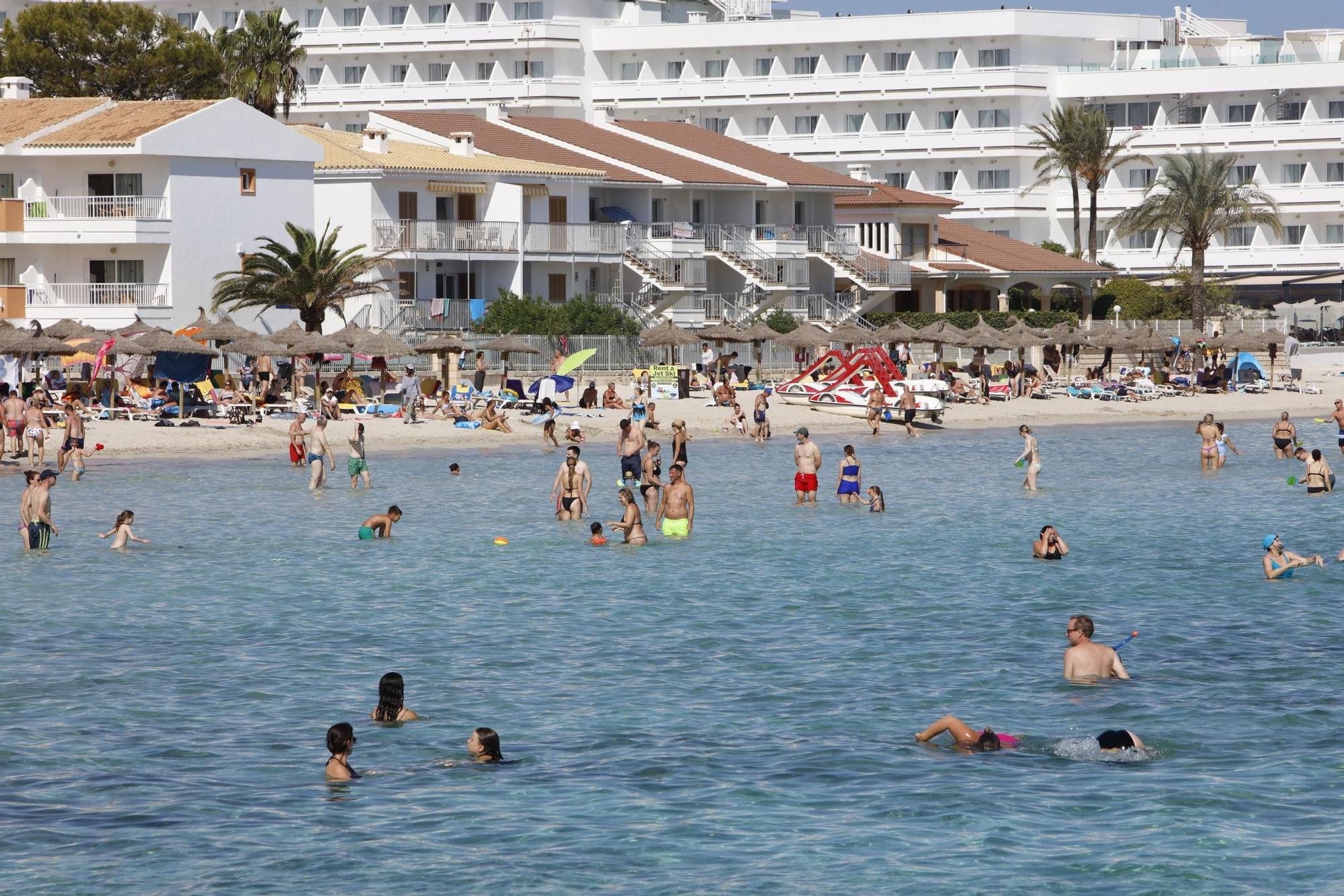 Sommer-Urlaub im Oktober: So sieht es derzeit am Strand von Alcúdia auf Mallorca aus