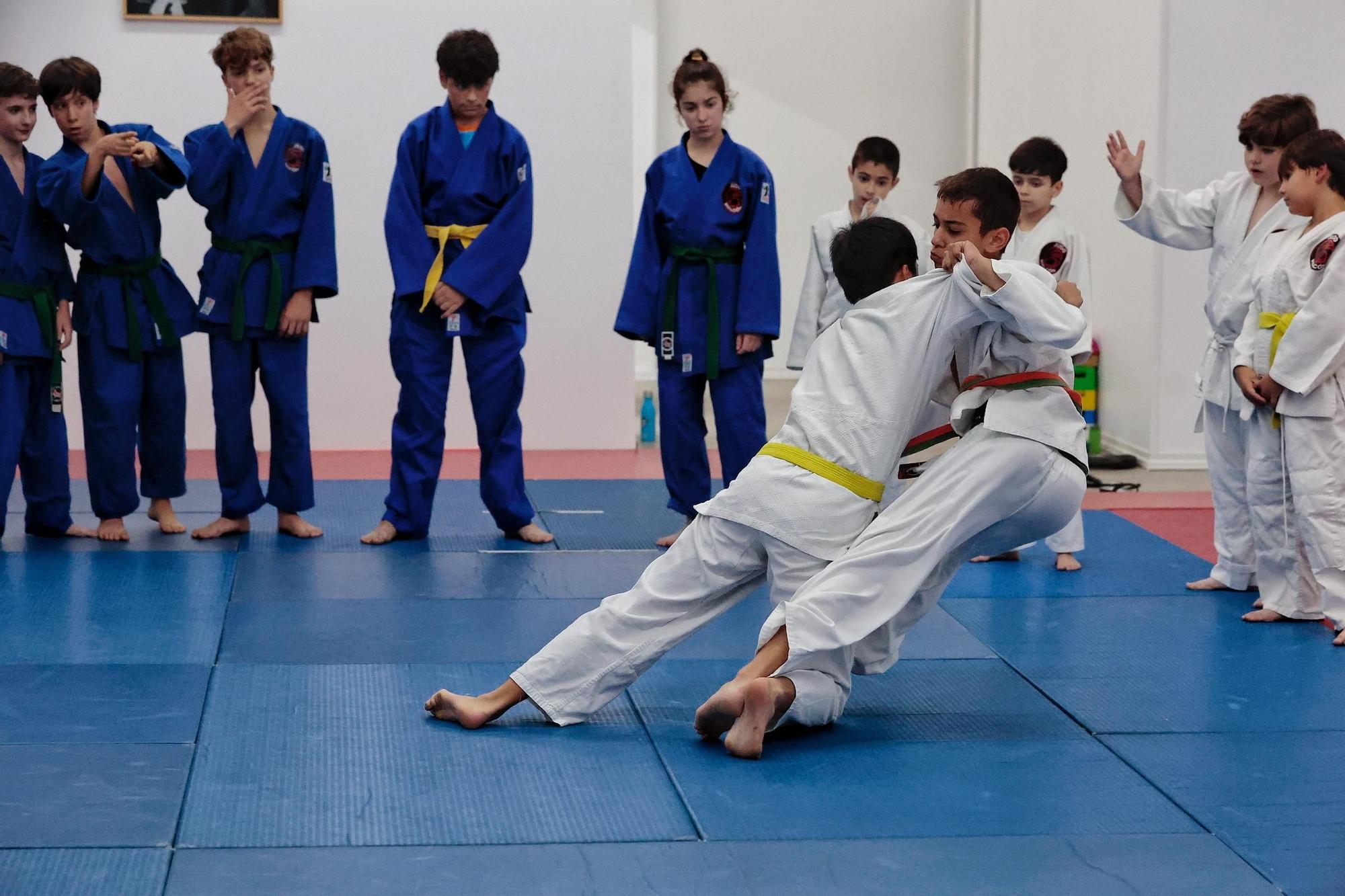 Los beneficios del judo en niños hiperactivos y agresivos