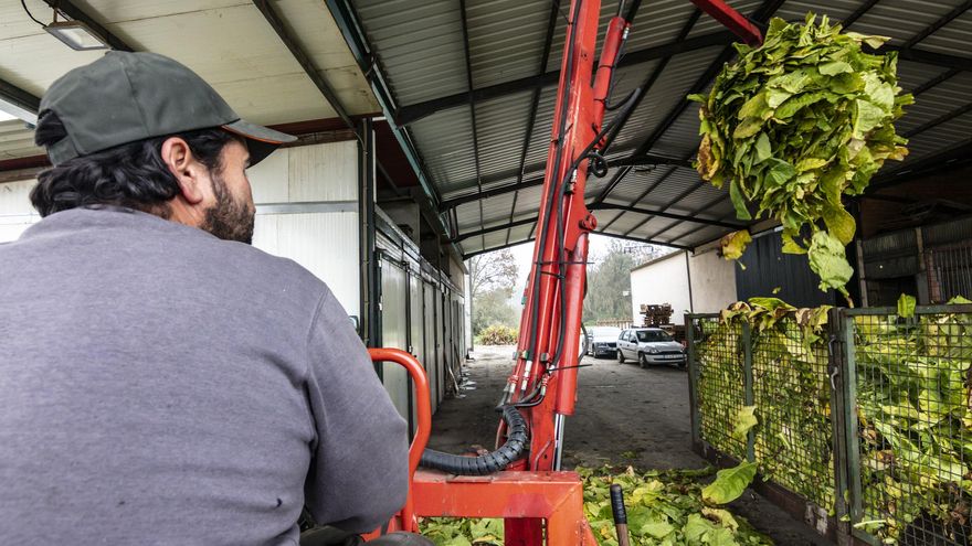 Los tabaqueros desconvocan todas las protestas tras el compromiso de mejorar precios y compras