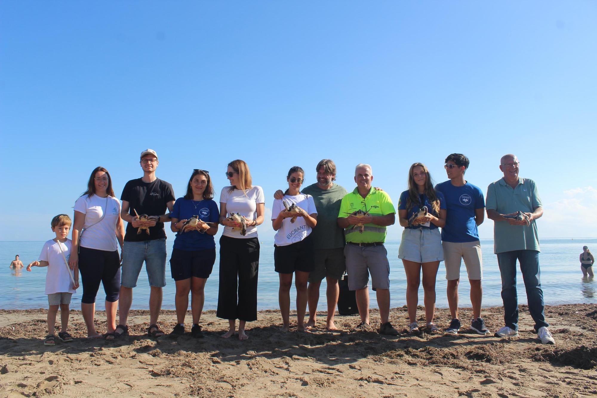 Una gran fiesta que conciencia: las tortugas vuelven al mar en Dénia