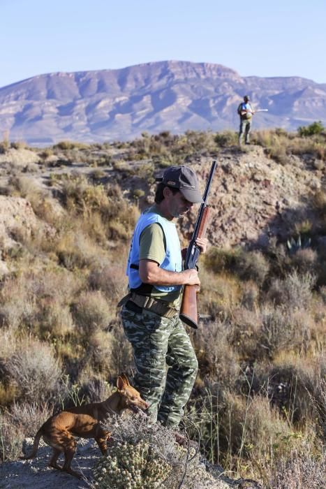 Diez mil cazadores inician la temporada de caza del conejo