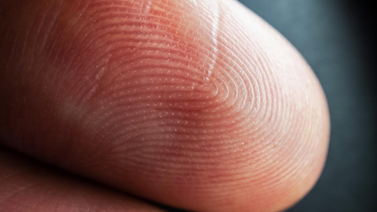 Una persona puede tener las mismas huellas dactilares, según una investigación