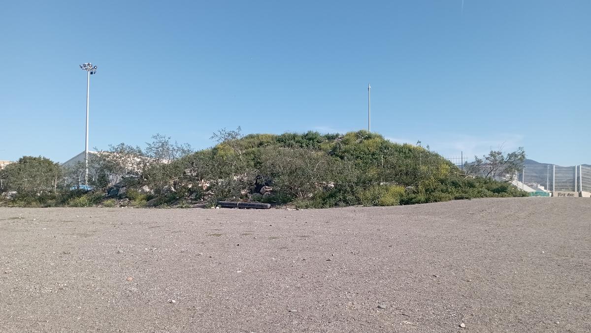 El 'cerro florido' junto al espigón del Puerto, el domingo, en la playa de San Andrés.