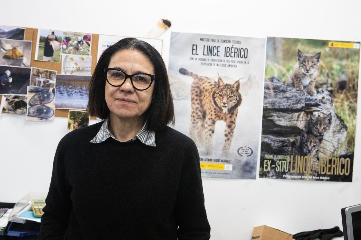 La veterinaria especializada en linces, María José Pérez Aspas, esta semana en Zaragoza.