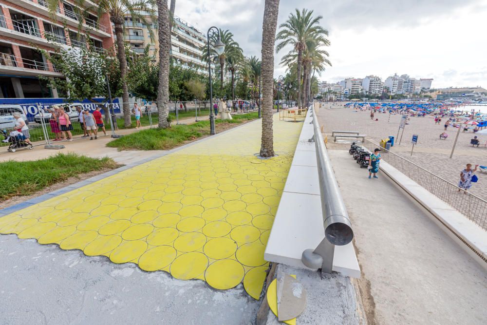 Benidorm trabaja para reabrir el parque de Elche