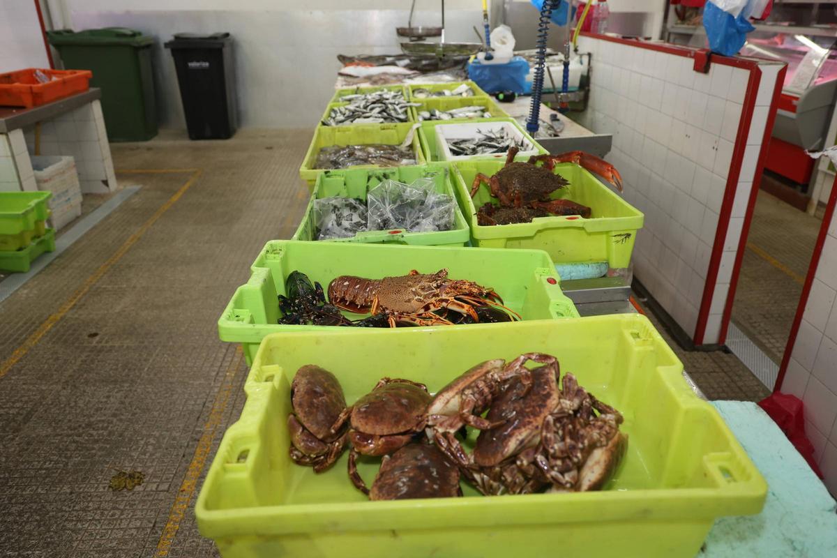 Venta de buey irlandés en la plaza de abastos de Cambados.