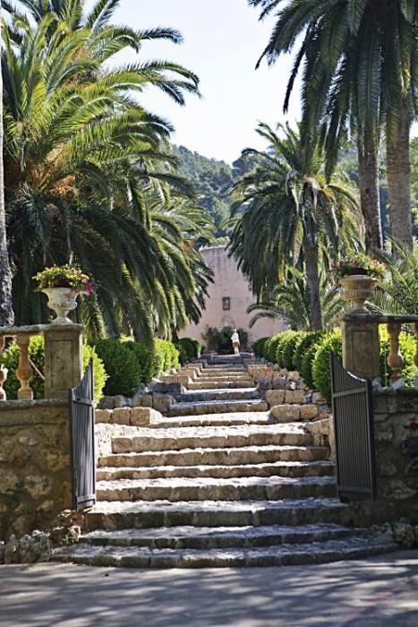 Die Kunsthistorikerin Júlia Ramon erklärt auf einem Rundgang durch die Jardins d’Alfàbia, aus welcher Zeit die Allee, die Wasserspiele und die Bäume stammen