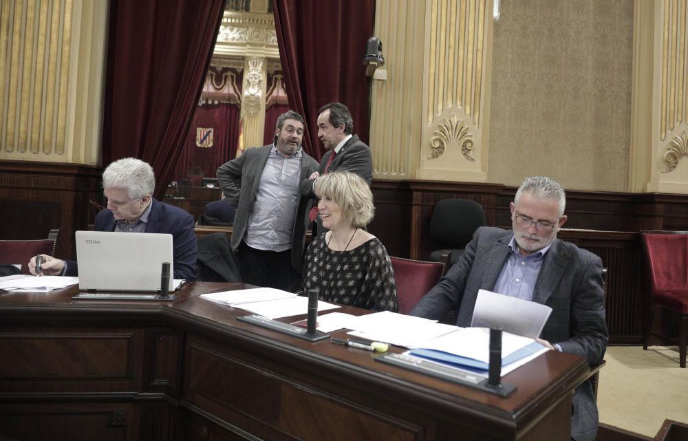 Pleno del Parlament del día 18 de febrero de 2020