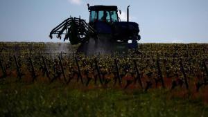 Un agricultor francés trabaja en su viñedo en la localidad de Vallet, cerca de Nantes (Bretaña).