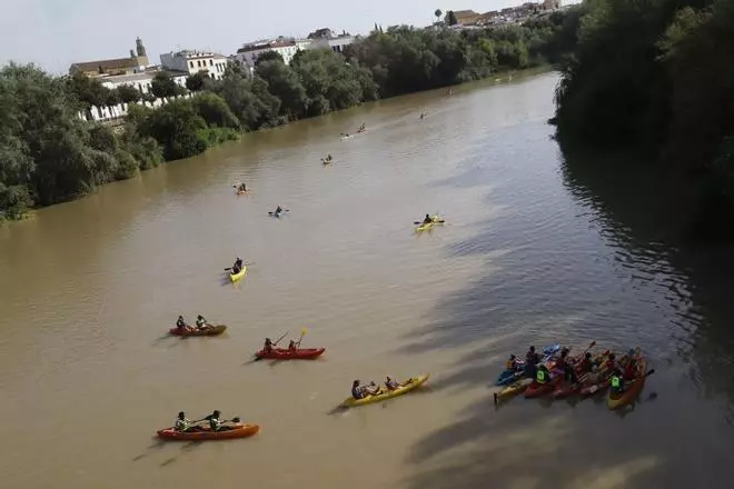 La ruta del caimán de la Fuensanta, en imágenes
