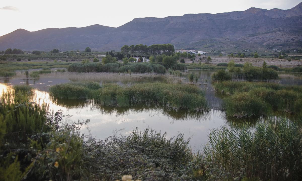 Albufera de Gaianes, desde la que se divisaría la planta solar a los pies del Benicadell.