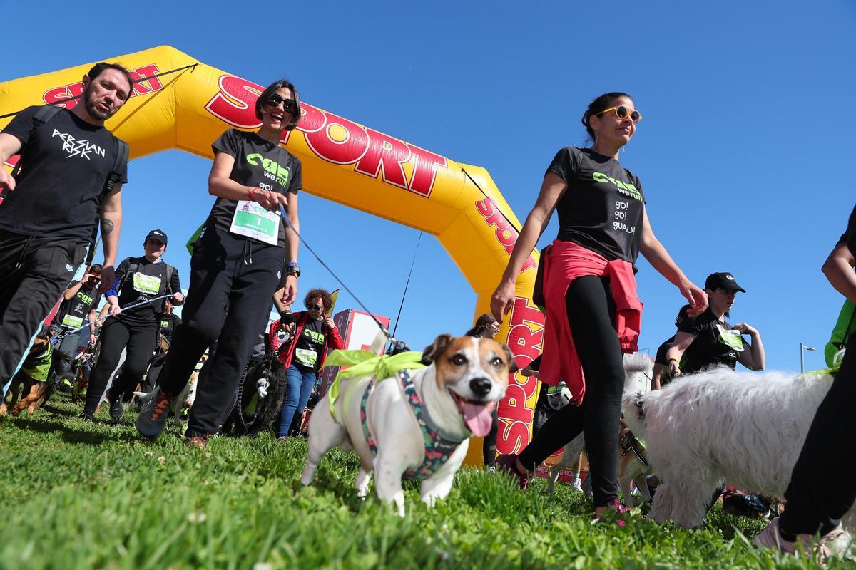Las mejores imágenes de la Can We Run Barcelona