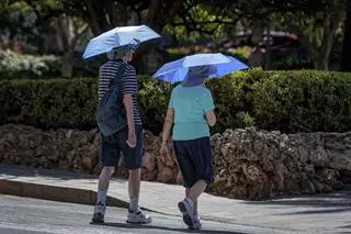 Infern climàtic: fugir de Mallorca a meitat de vacances per la calor