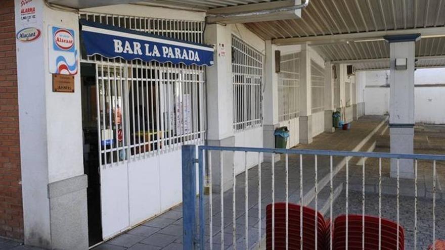 La estación AVE tendrá autobús desde principios de diciembre