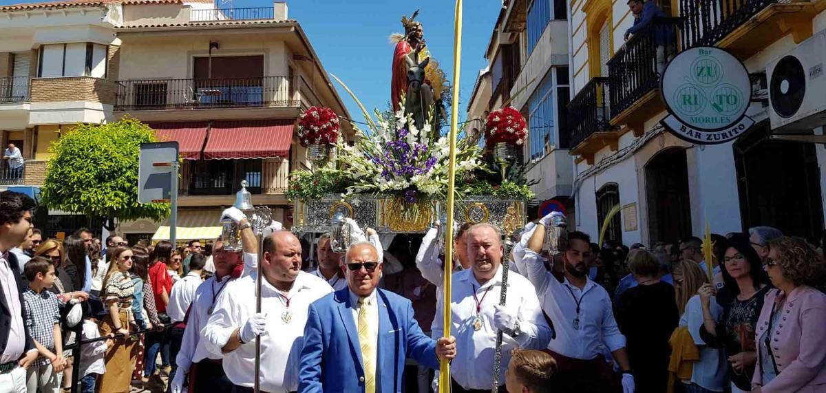 Domingo de Ramos en la provincia